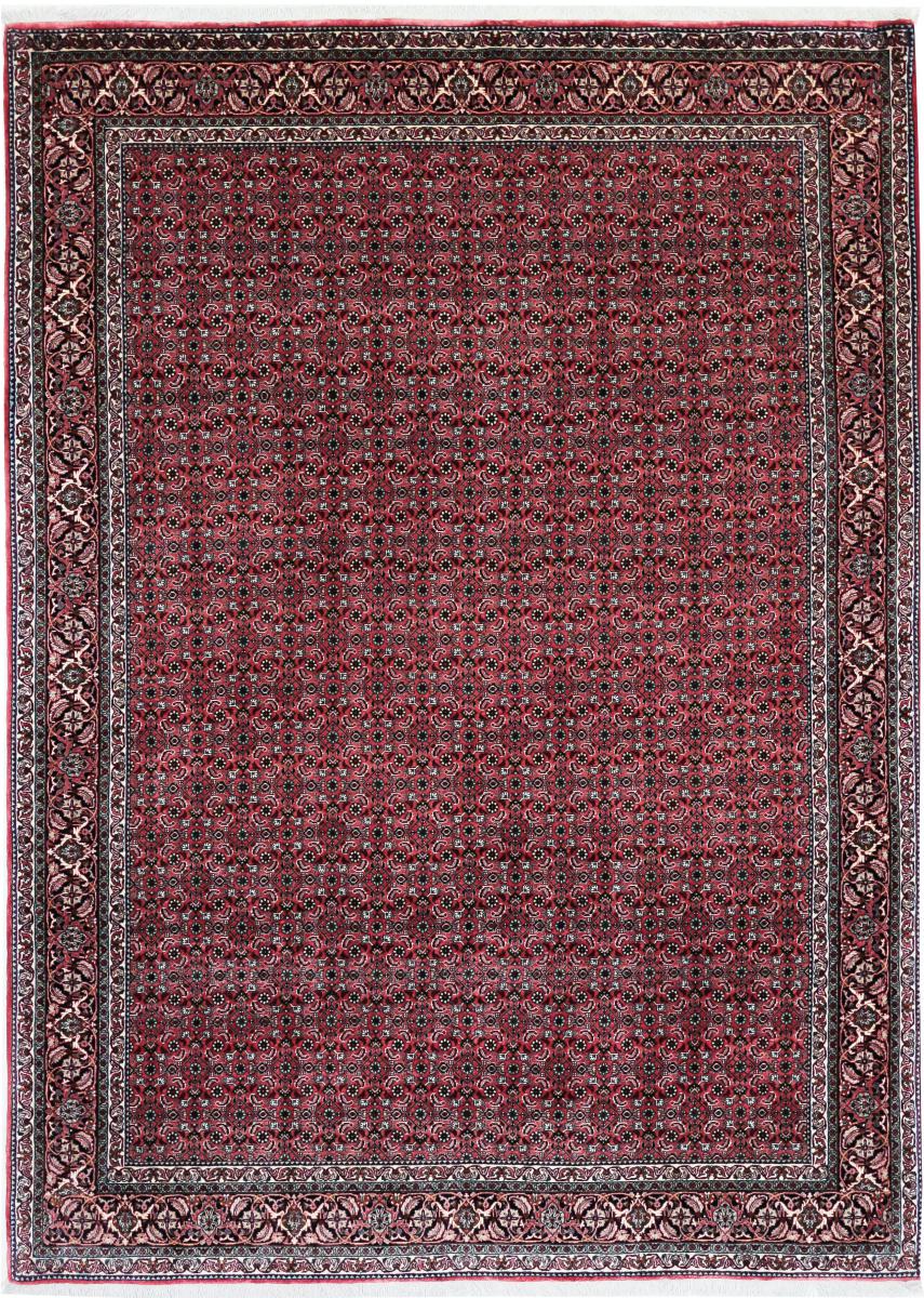 Persian Rug Bidjar Tekab 9'4"x6'9" 9'4"x6'9", Persian Rug Knotted by hand