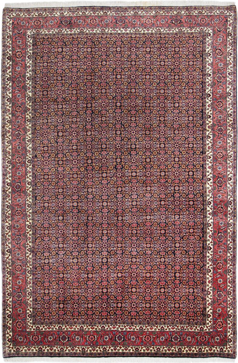  ペルシャ絨毯 ビジャー Tekab 9'11"x6'6" 9'11"x6'6",  ペルシャ絨毯 手織り
