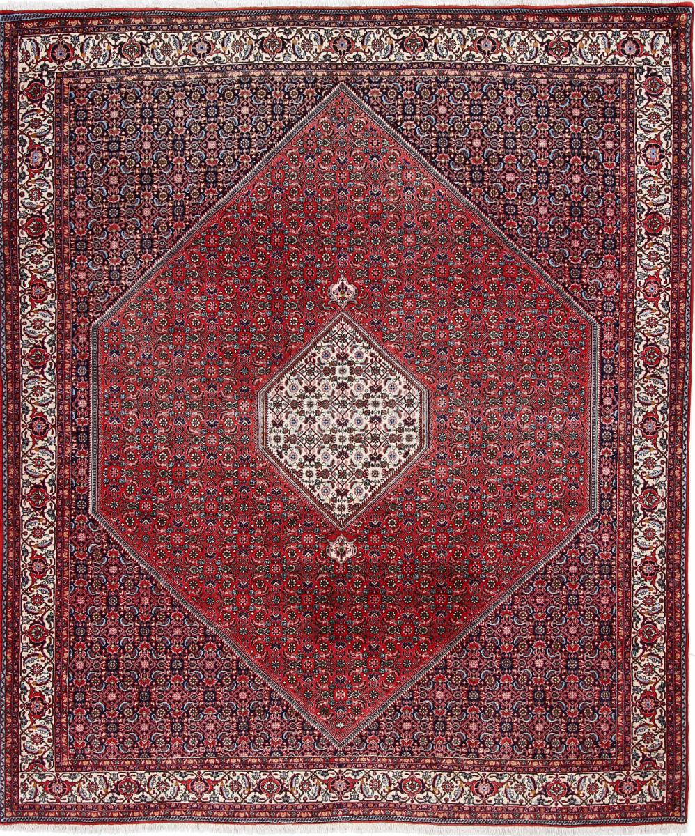 Persian Rug Bidjar 10'2"x8'5" 10'2"x8'5", Persian Rug Knotted by hand