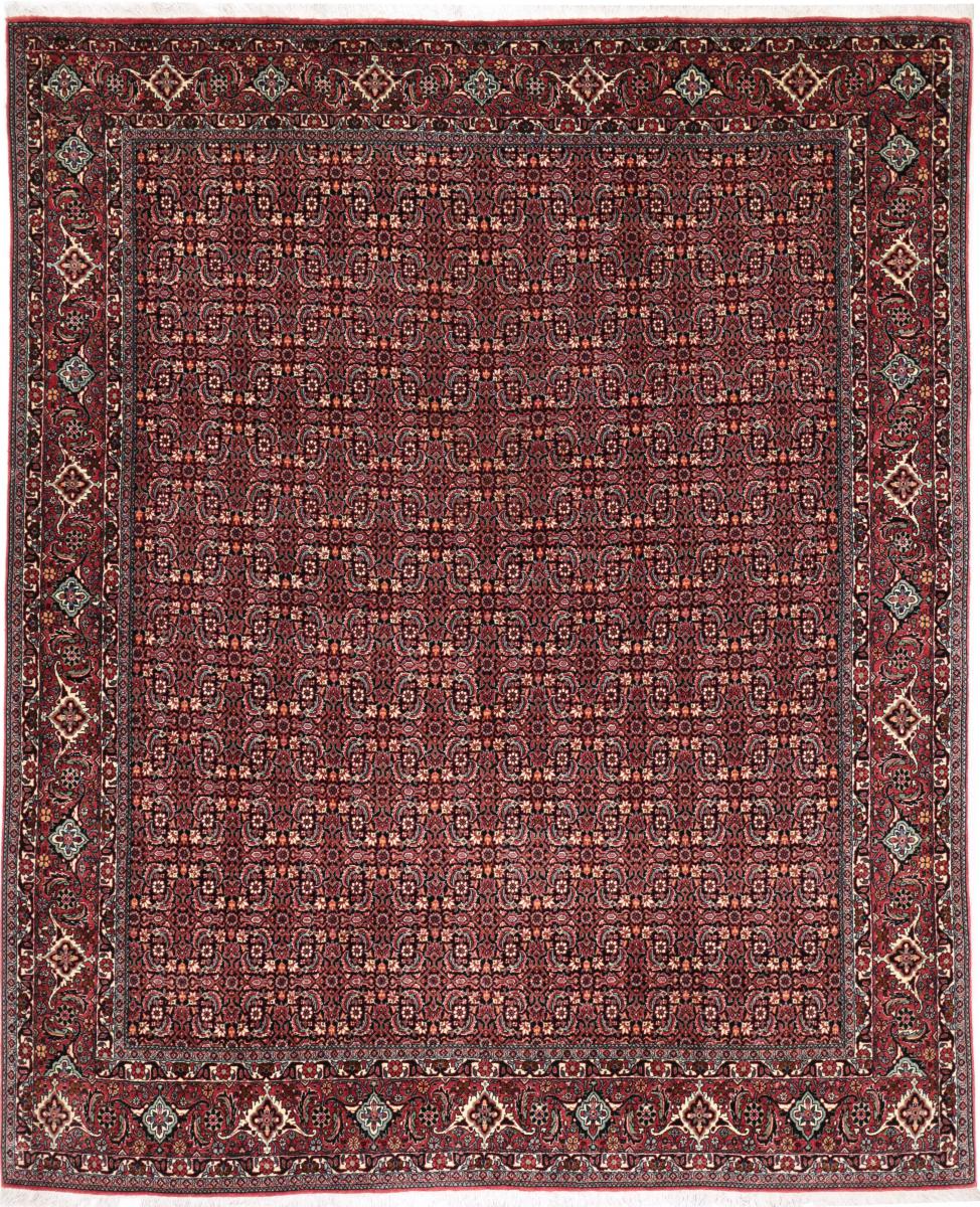  ペルシャ絨毯 ビジャー Tekab 7'10"x6'6" 7'10"x6'6",  ペルシャ絨毯 手織り