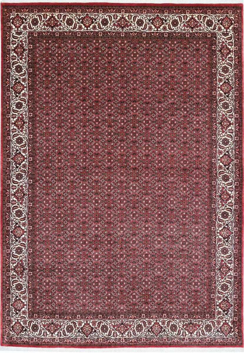 Tapis persan Bidjar Tekab 9'9"x6'8" 9'9"x6'8", Tapis persan Noué à la main