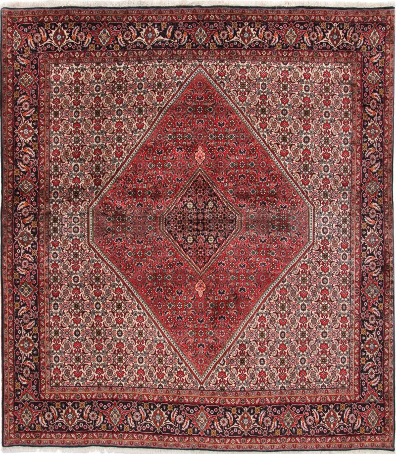 Persian Rug Bidjar 9'0"x8'0" 9'0"x8'0", Persian Rug Knotted by hand