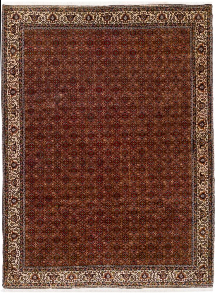 Tapis persan Bidjar 345x260 345x260, Tapis persan Noué à la main