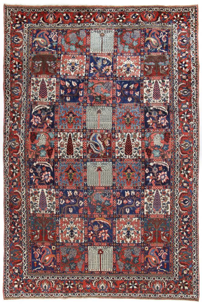 Persialainen matto Bakhtiar 10'2"x6'10" 10'2"x6'10", Persialainen matto Solmittu käsin