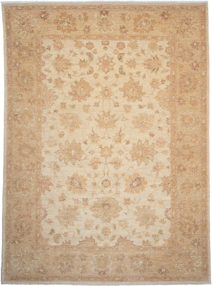Pakistani rug Ziegler Farahan Arijana 10'4"x7'9" 10'4"x7'9", Persian Rug Knotted by hand