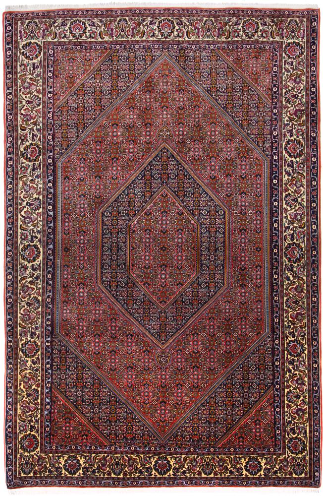 Persian Rug Bidjar Tekab 10'2"x6'11" 10'2"x6'11", Persian Rug Knotted by hand