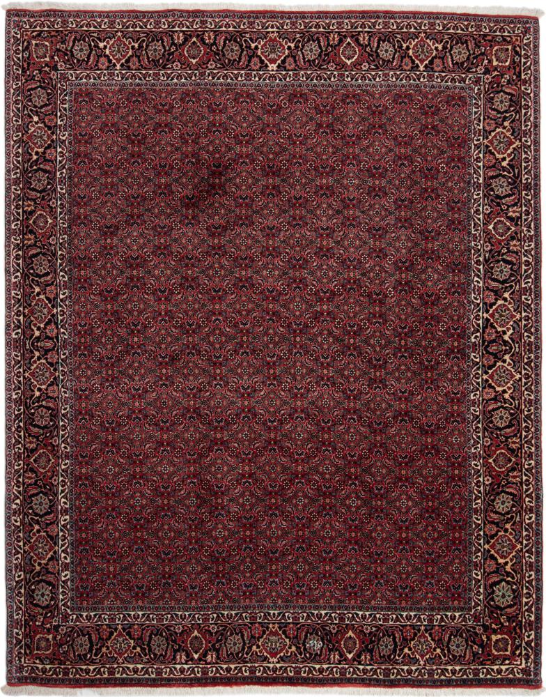 Persialainen matto Bidjar 245x199 245x199, Persialainen matto Solmittu käsin
