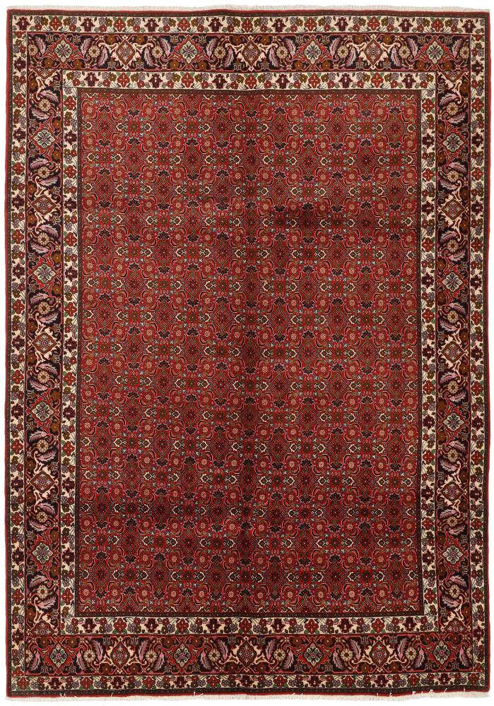 Persian Rug Bidjar 286x204 286x204, Persian Rug Knotted by hand