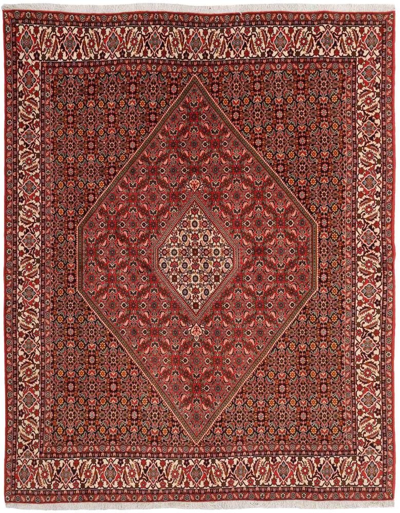 Persian Rug Bidjar 304x247 304x247, Persian Rug Knotted by hand