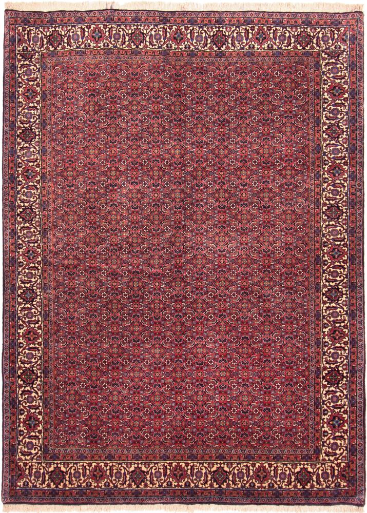 Tapis persan Bidjar Tekab 7'9"x5'7" 7'9"x5'7", Tapis persan Noué à la main