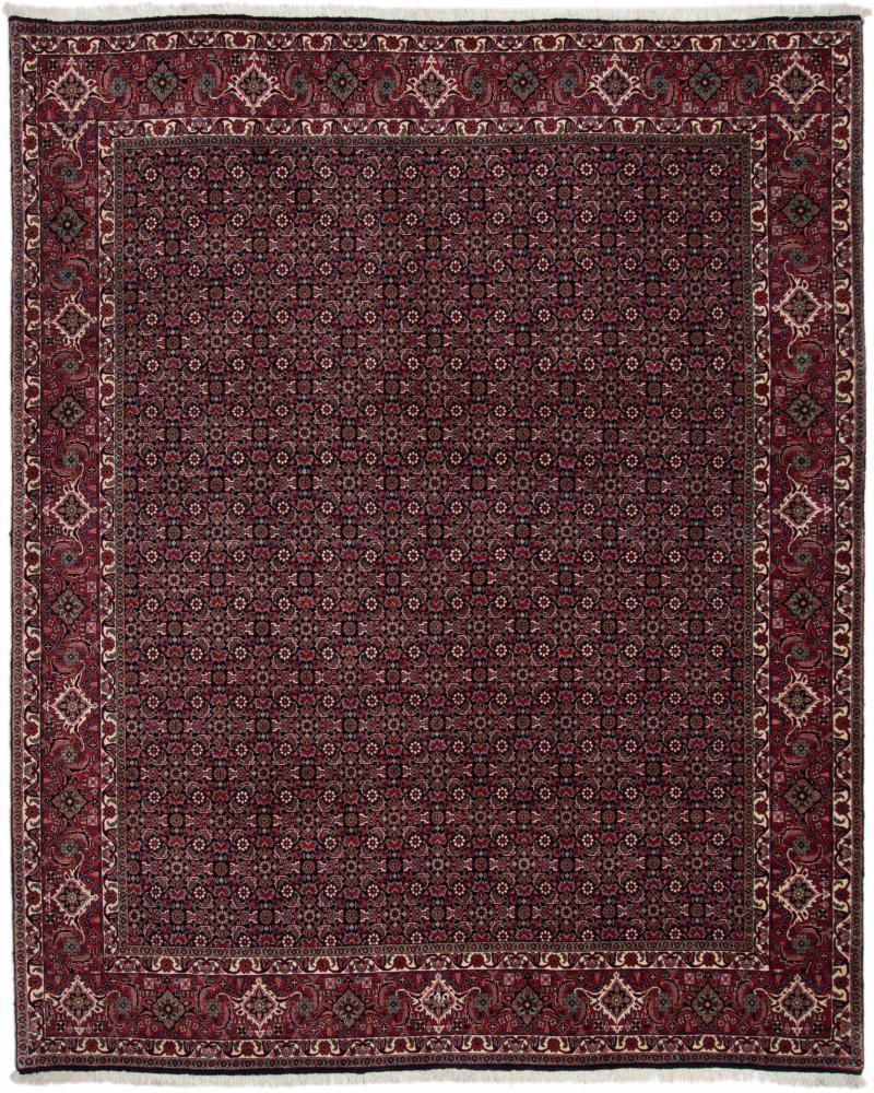 Persialainen matto Bidjar 8'2"x6'6" 8'2"x6'6", Persialainen matto Solmittu käsin
