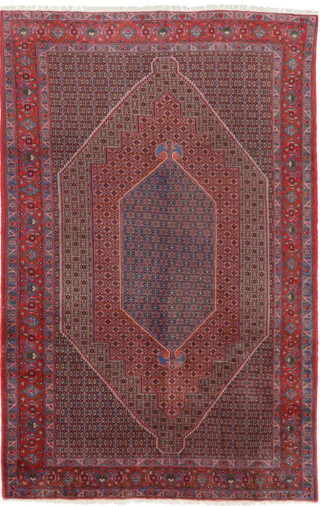 Persian Rug Senneh 9'9"x6'3" 9'9"x6'3", Persian Rug Knotted by hand