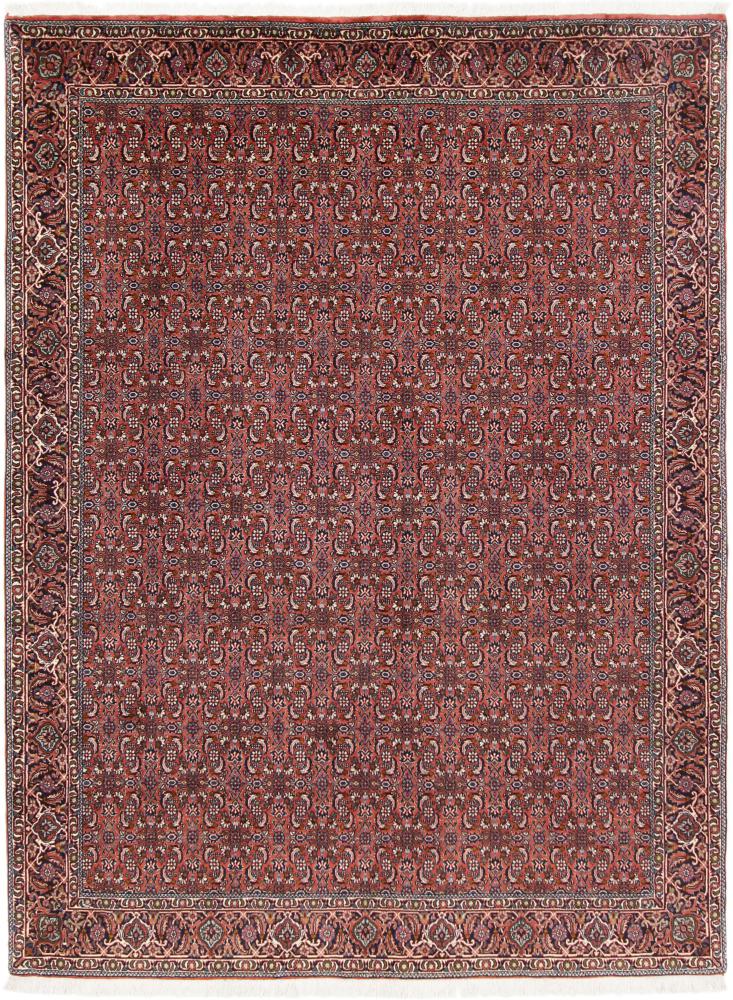 Tapis persan Bidjar 7'6"x5'7" 7'6"x5'7", Tapis persan Noué à la main