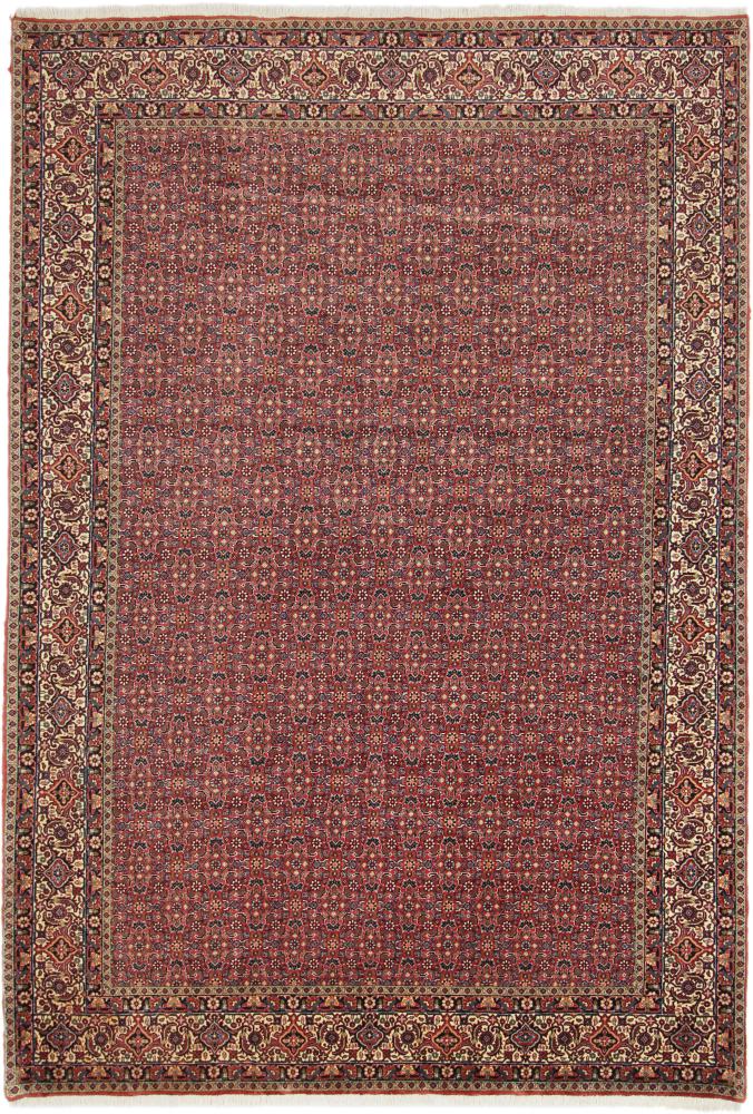 Persian Rug Bidjar Tekab 9'8"x6'6" 9'8"x6'6", Persian Rug Knotted by hand