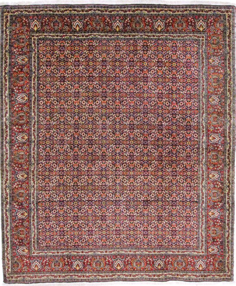 Persian Rug Bidjar 8'0"x6'9" 8'0"x6'9", Persian Rug Knotted by hand