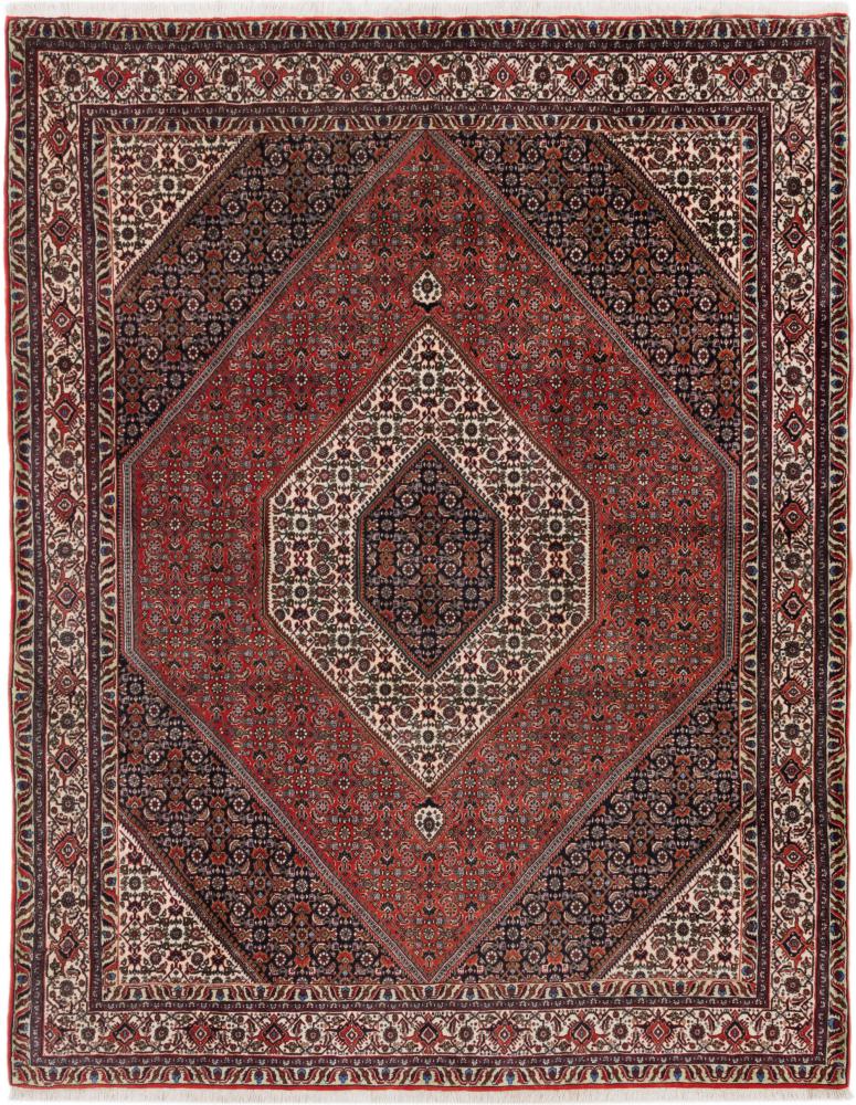 Persian Rug Bidjar 256x203 256x203, Persian Rug Knotted by hand