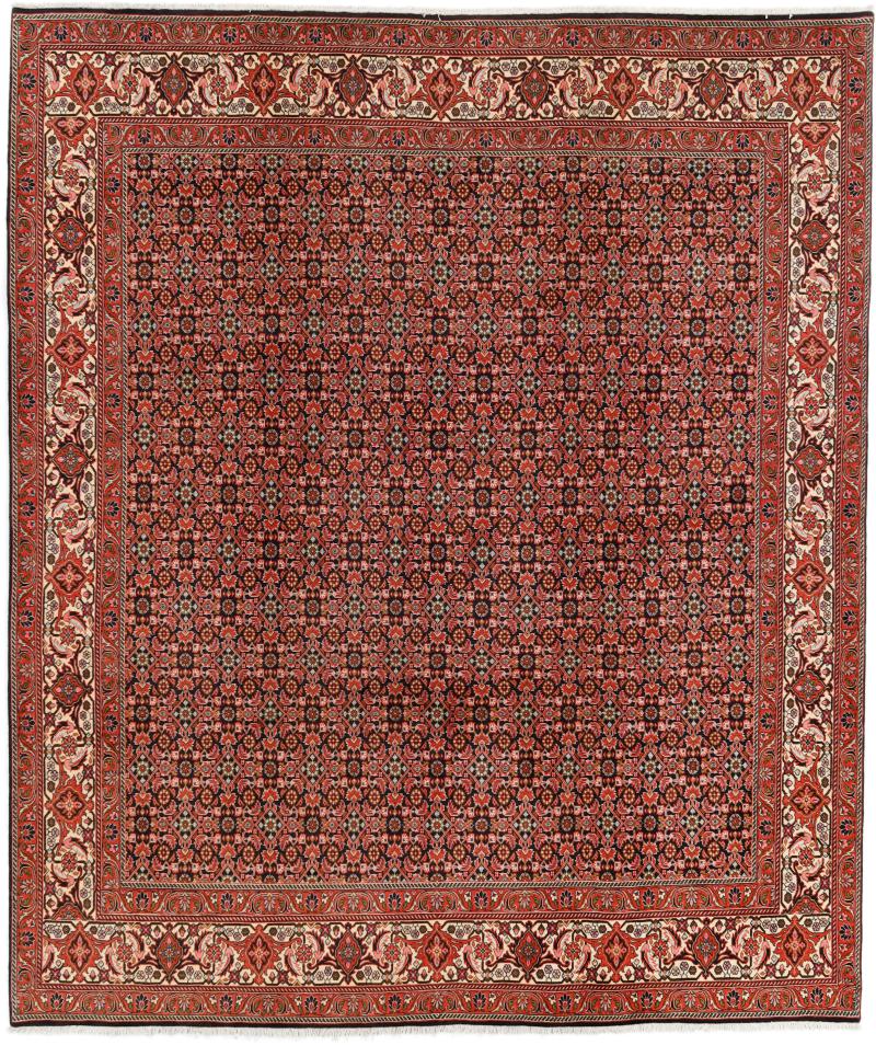 Perzisch tapijt Bidjar Zanjan 301x249 301x249, Perzisch tapijt Handgeknoopte