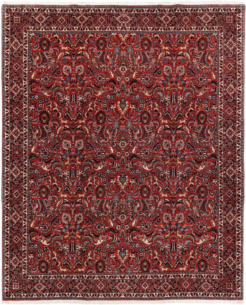  ペルシャ絨毯 ビジャー 10'1"x8'3" 10'1"x8'3",  ペルシャ絨毯 手織り