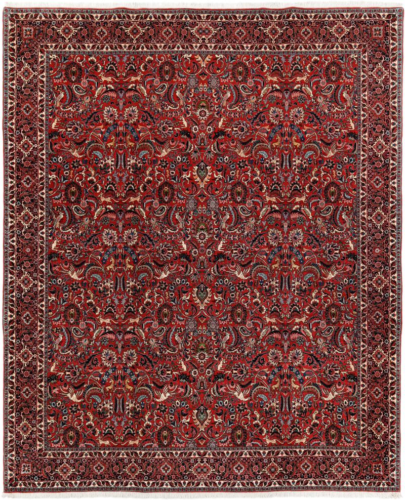 Tapis persan Bidjar 308x252 308x252, Tapis persan Noué à la main