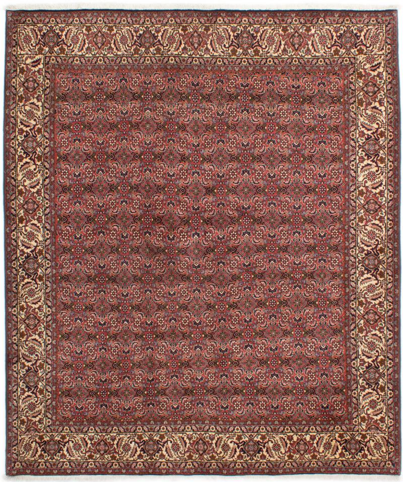 Persian Rug Bidjar Tekab 236x201 236x201, Persian Rug Knotted by hand