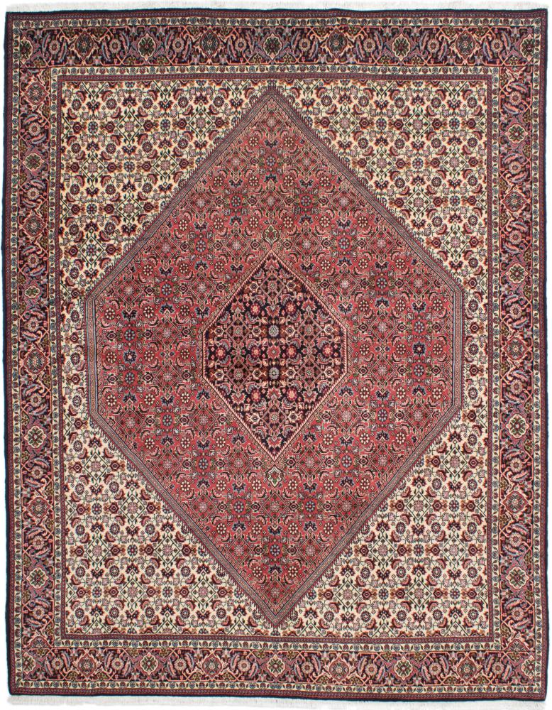  ペルシャ絨毯 ビジャー Tekab 261x202 261x202,  ペルシャ絨毯 手織り