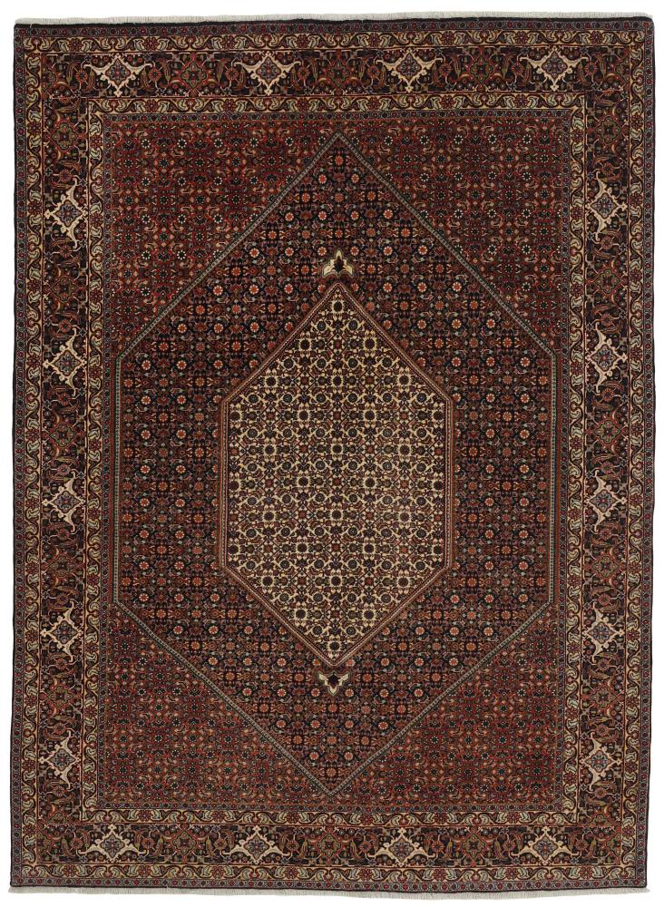 Persian Rug Bidjar Zanjan 9'9"x6'8" 9'9"x6'8", Persian Rug Knotted by hand