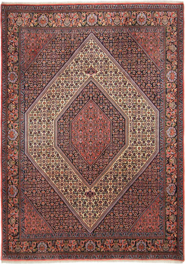 Persian Rug Bidjar Tekab 9'6"x6'10" 9'6"x6'10", Persian Rug Knotted by hand