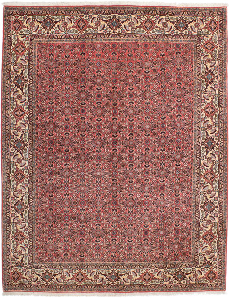Persian Rug Bidjar Tekab 255x203 255x203, Persian Rug Knotted by hand
