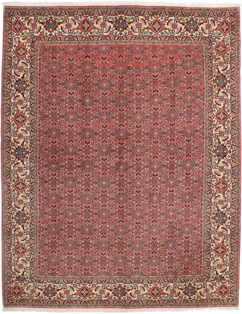 Tapis persan Bidjar Tekab 8'4"x6'8" 8'4"x6'8", Tapis persan Noué à la main