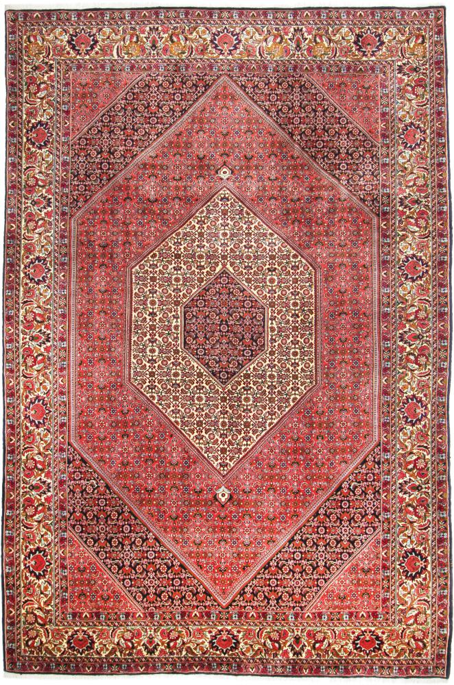 Persian Rug Bidjar Tekab 10'2"x6'7" 10'2"x6'7", Persian Rug Knotted by hand