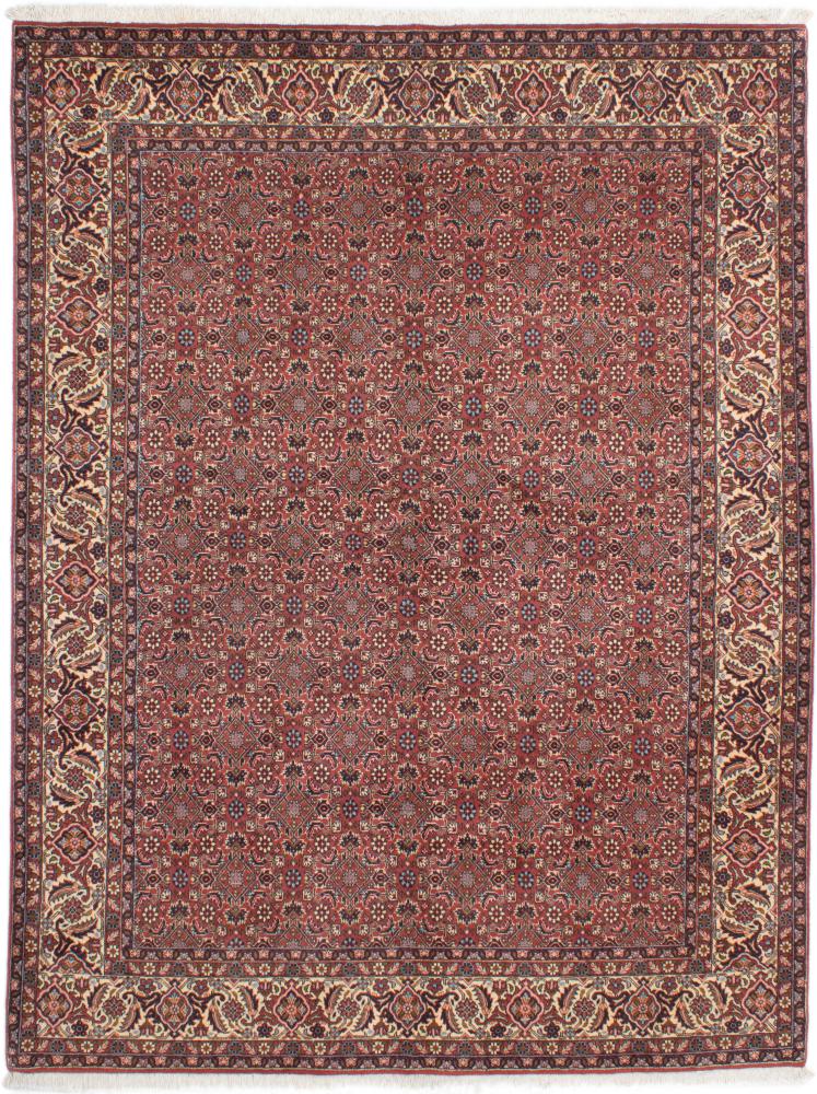 Tapis persan Bidjar Tekab 8'6"x6'4" 8'6"x6'4", Tapis persan Noué à la main