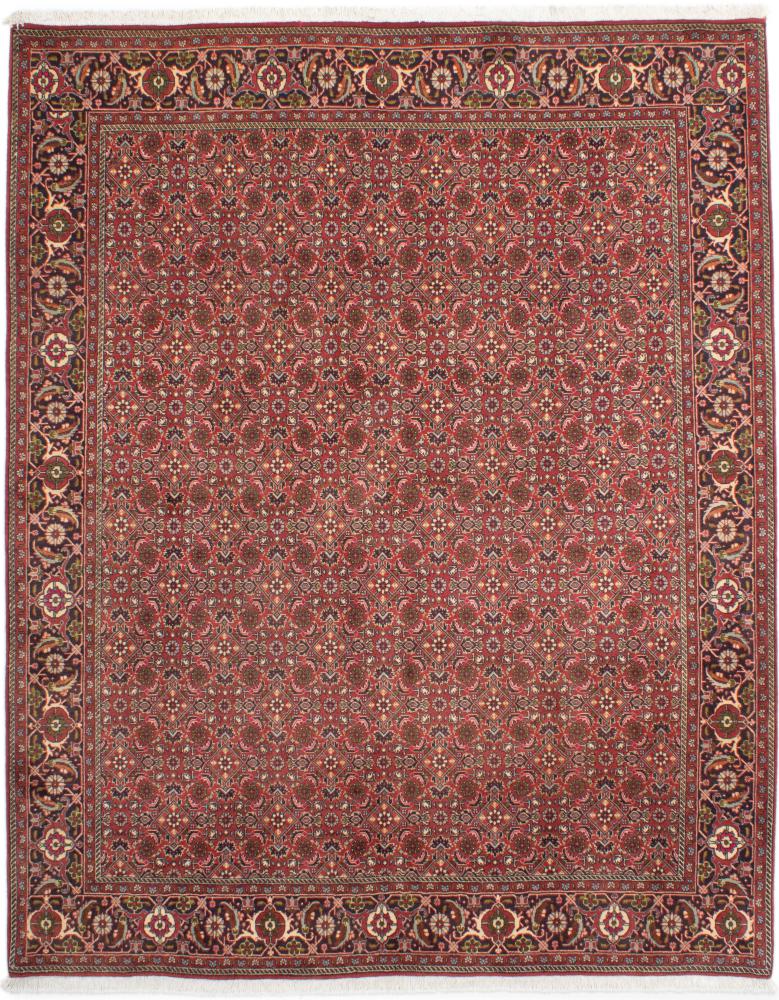  ペルシャ絨毯 ビジャー Tekab 247x201 247x201,  ペルシャ絨毯 手織り