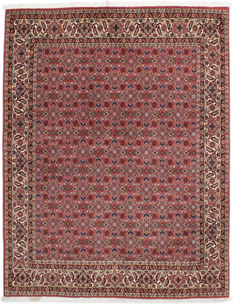 Tapis persan Bidjar Tekab 246x195 246x195, Tapis persan Noué à la main