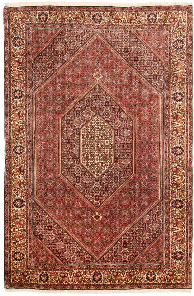 Persian Rug Bidjar Tekab 10'1"x6'5" 10'1"x6'5", Persian Rug Knotted by hand