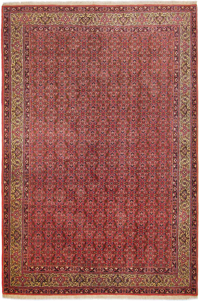 Persian Rug Bidjar Tekab 9'7"x6'9" 9'7"x6'9", Persian Rug Knotted by hand
