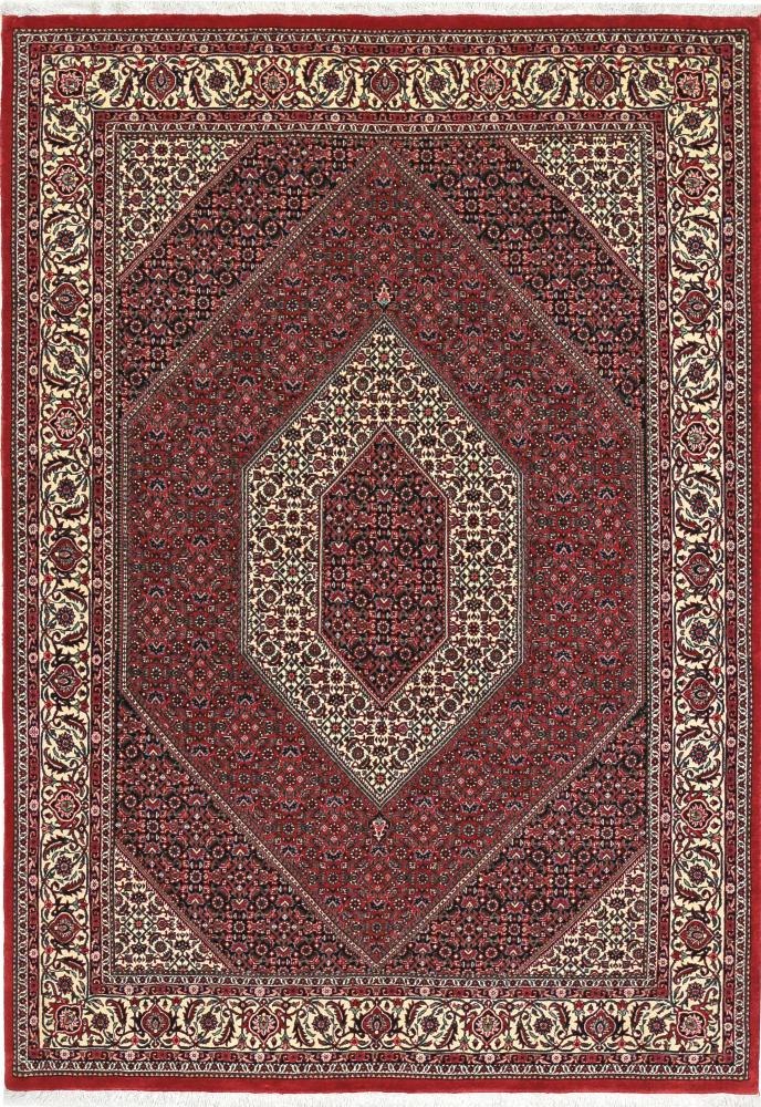 Persian Rug Bidjar Tekab 8'2"x5'7" 8'2"x5'7", Persian Rug Knotted by hand