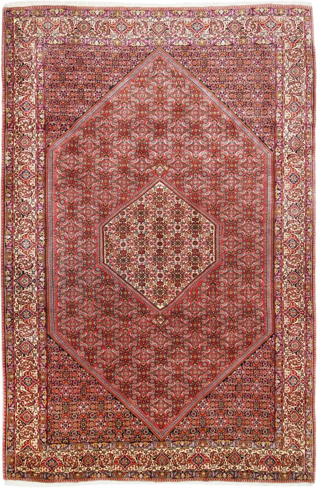 Tapis persan Bidjar Tekab 301x203 301x203, Tapis persan Noué à la main