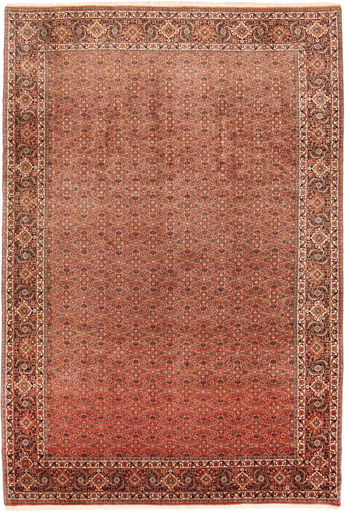  ペルシャ絨毯 ビジャー Tekab 10'0"x6'8" 10'0"x6'8",  ペルシャ絨毯 手織り