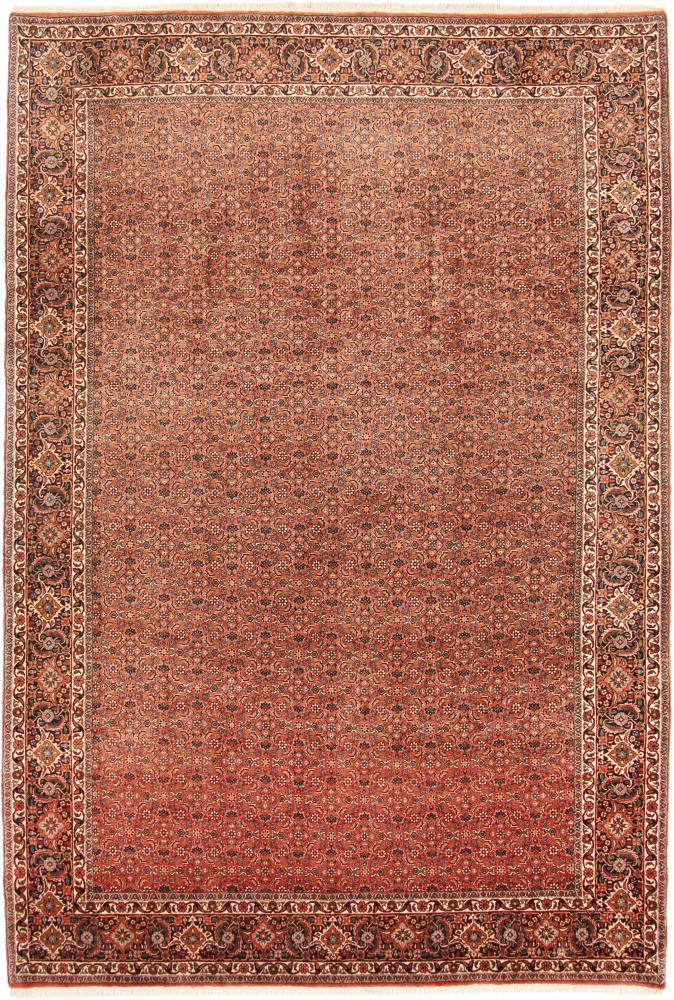 Persian Rug Bidjar Tekab 10'0"x6'8" 10'0"x6'8", Persian Rug Knotted by hand