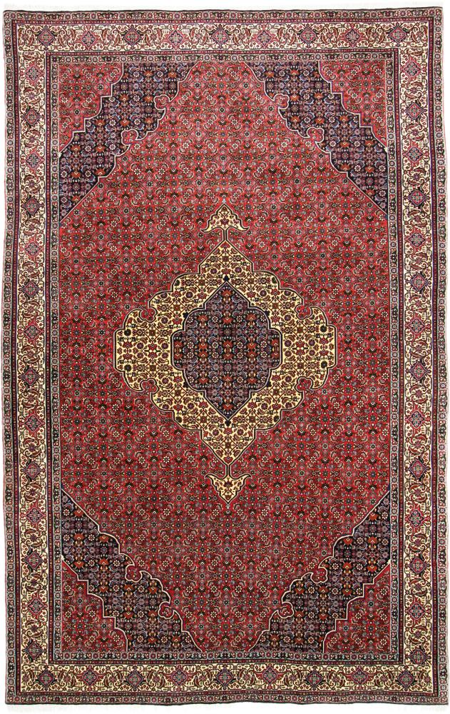 Persian Rug Bidjar Tekab 9'11"x6'4" 9'11"x6'4", Persian Rug Knotted by hand