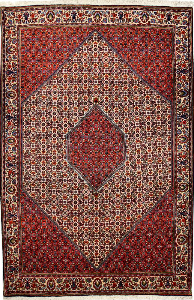 Persian Rug Bidjar 314x215 314x215, Persian Rug Knotted by hand