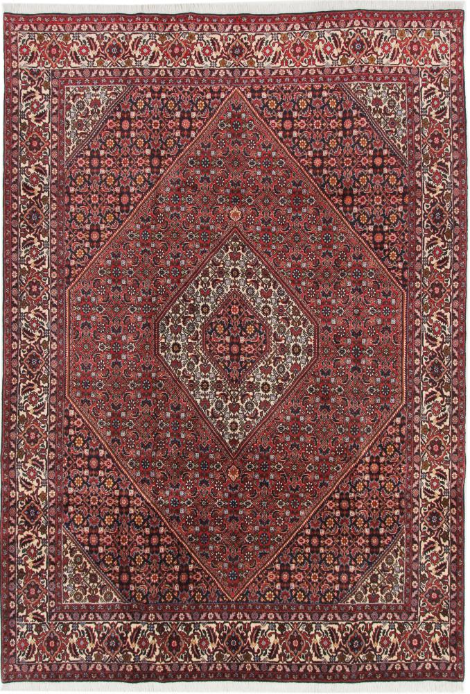 Persian Rug Bidjar 9'6"x6'8" 9'6"x6'8", Persian Rug Knotted by hand