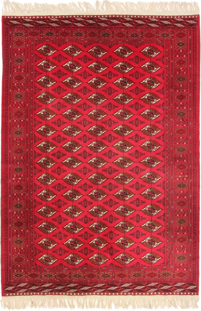 Persian Rug Turkaman 9'6"x6'10" 9'6"x6'10", Persian Rug Knotted by hand