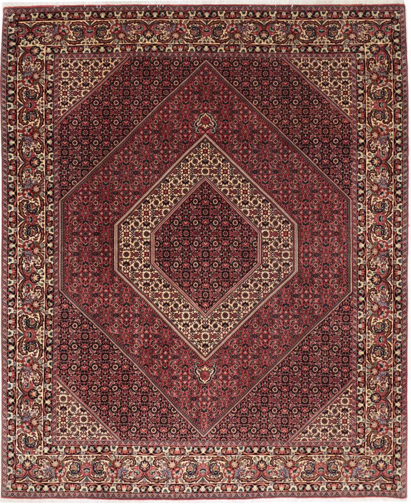 Tapis persan Bidjar Tekab 8'4"x6'8" 8'4"x6'8", Tapis persan Noué à la main