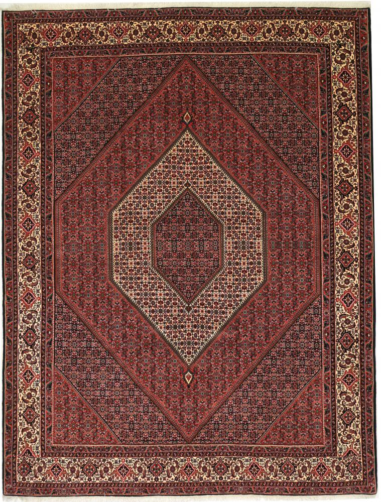 Persian Rug Bidjar Tekab 11'1"x8'6" 11'1"x8'6", Persian Rug Knotted by hand