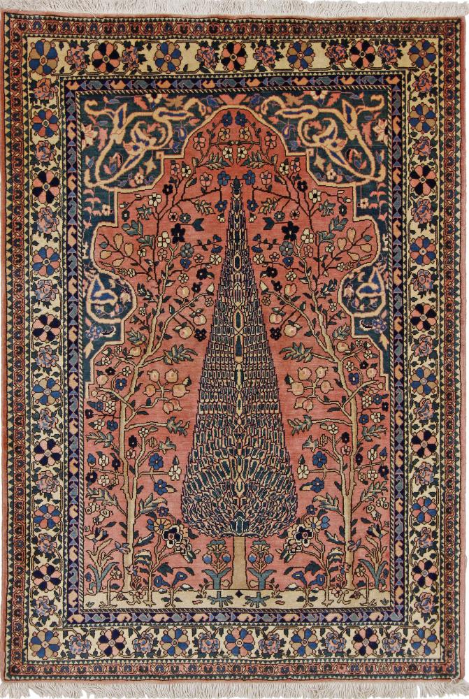 Persian Rug Bakhtiari Baba Heydar 6'8"x4'8" 6'8"x4'8", Persian Rug Knotted by hand
