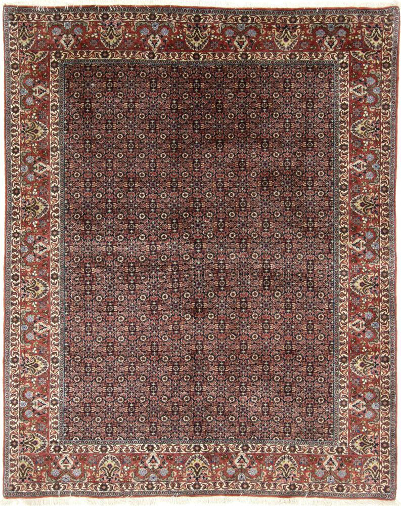 Persialainen matto Bidjar 246x195 246x195, Persialainen matto Solmittu käsin
