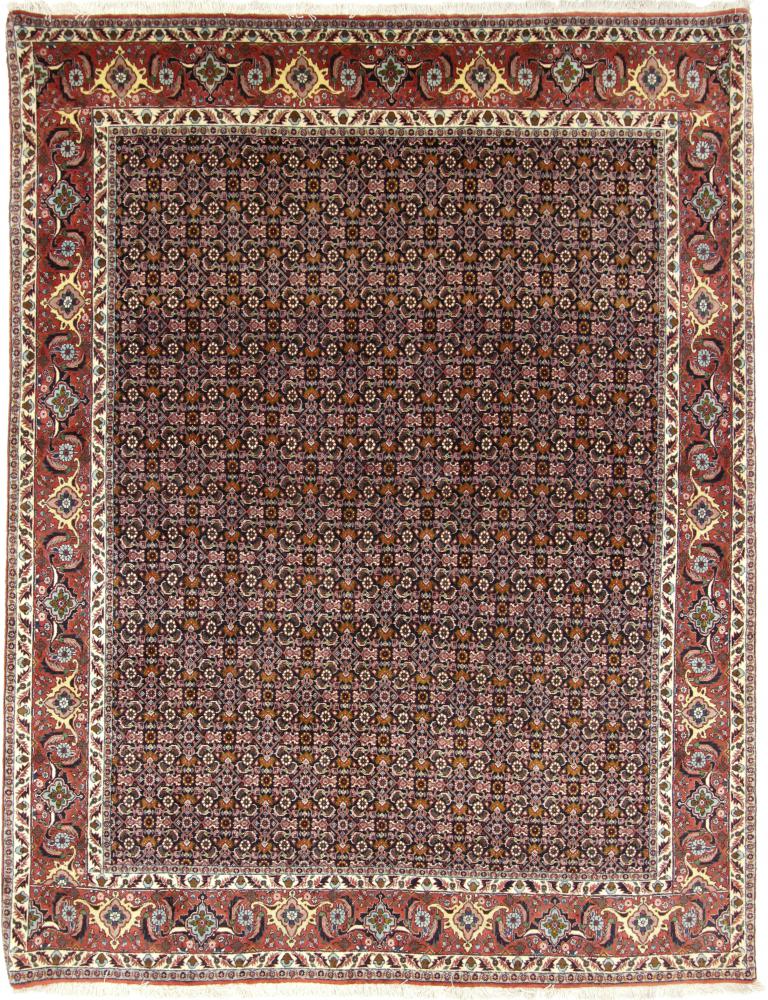 Perzisch tapijt Bidjar 8'8"x6'9" 8'8"x6'9", Perzisch tapijt Handgeknoopte