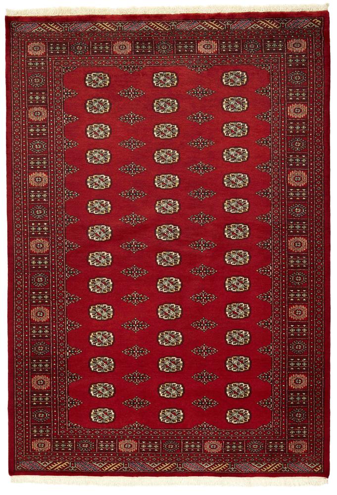 Pakistani rug Pakistan Buchara 2ply 247x171 247x171, Persian Rug Knotted by hand