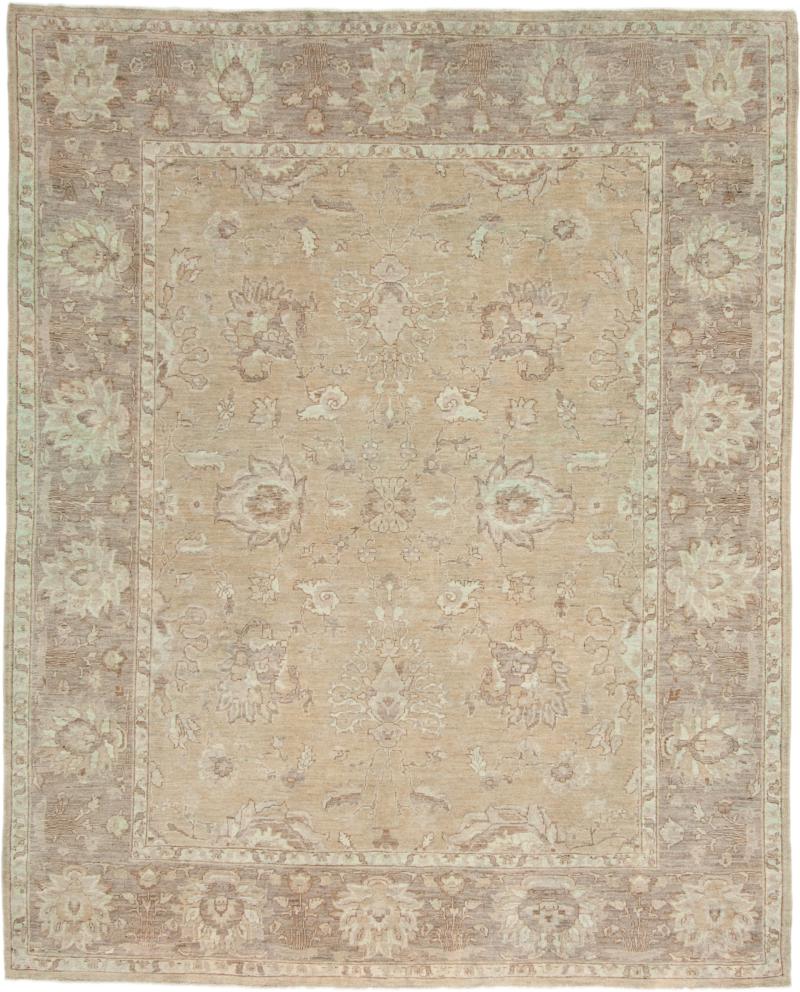 Pakistani rug Ziegler Farahan 10'1"x8'1" 10'1"x8'1", Persian Rug Knotted by hand